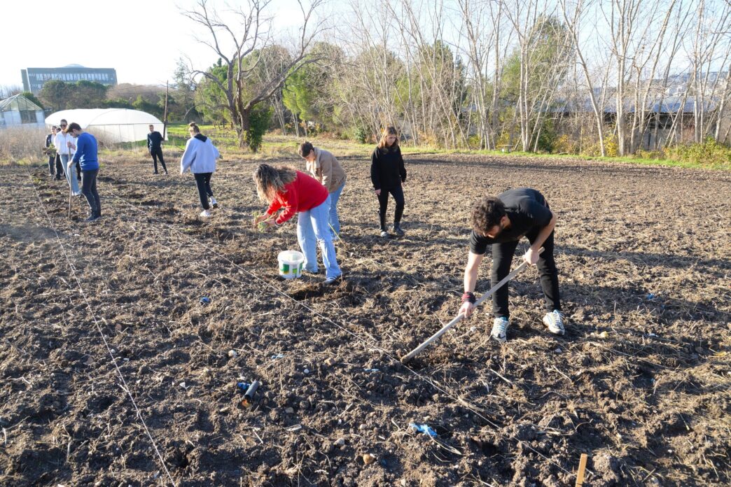 Bursa Uludağ Üniversitesi (BUÜ) Ziraat Fakültesi bünyesinde öğrencilerin teorik ve pratik