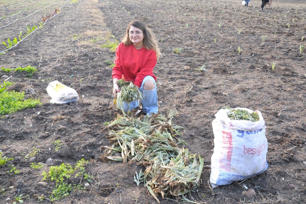 Bursa Uludağ Üniversitesi (BUÜ) Ziraat Fakültesi bünyesinde öğrencilerin teorik ve pratik

