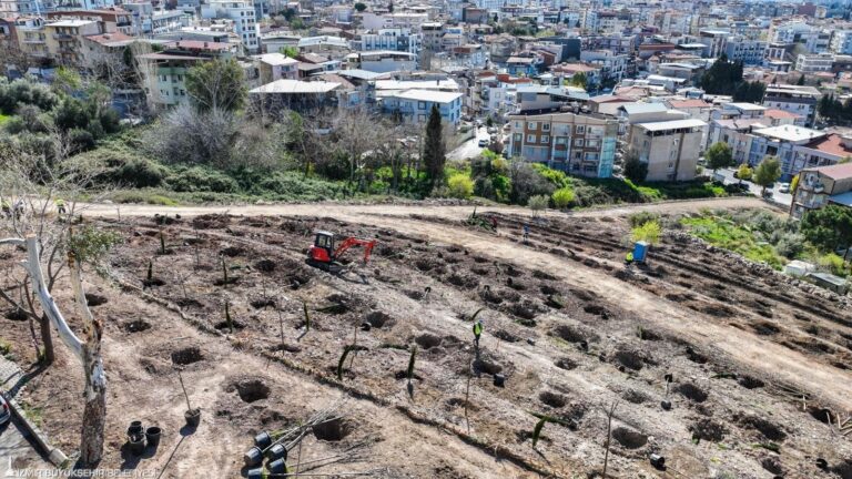 İzmir Büyükşehir Belediyesi, Bornova Kızılay Mahallesi’ndeki 10 dönümlük alanda bin ağaçlık orman oluşturuyor.