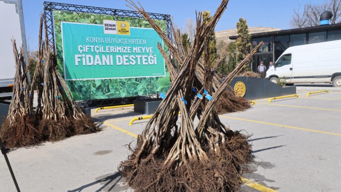 Konya Büyükşehir Belediyesi, kırsal bölgelerde kalkınmayı sağlamak ve üretimi artırmak amacıyla fide ve fidan desteğine aralıksız olarak devam ediyor.