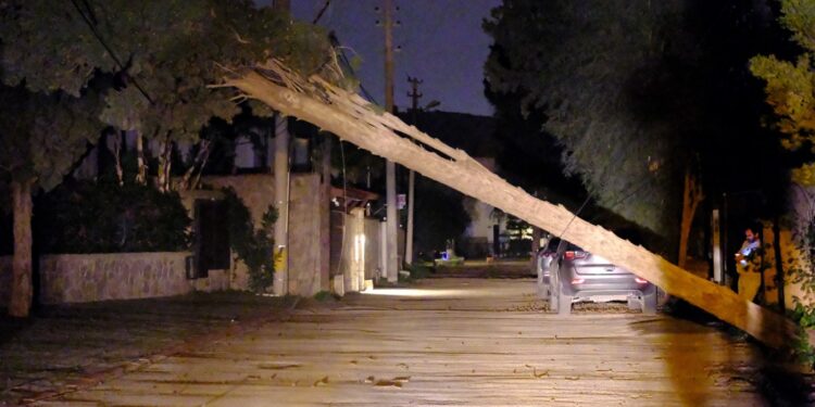 Park ve Bahçeler Ekipleri Fırtınada Sahadaydı