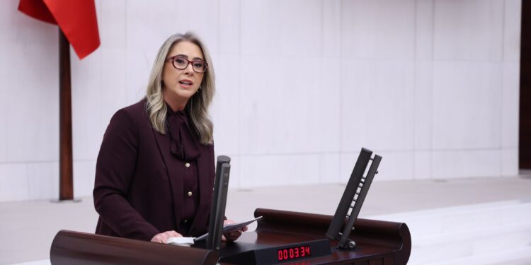 Ceyda Bölünmez Çankırı’ndan TBMM’de İzmir İktisat Kongresi Vurgusu