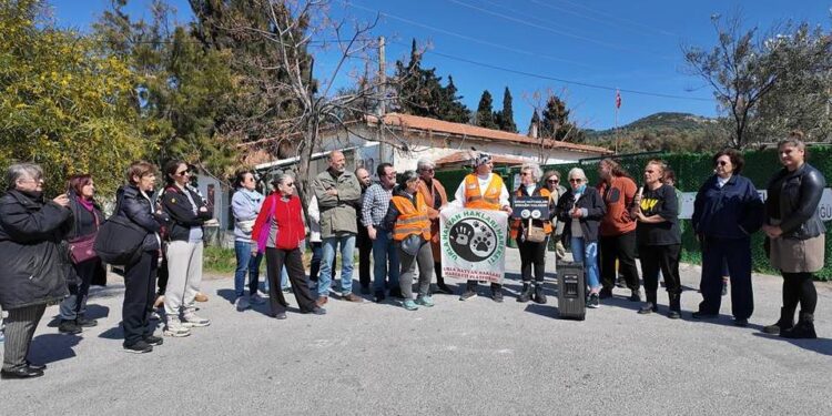 Foçada Belediye Personelinden Kadına ve Hayvana Şiddet İddialı Protesto