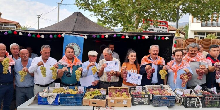 Avşar Üzümü Tescillendi