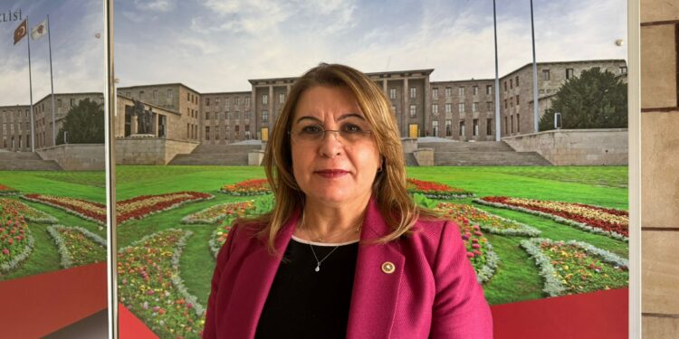 CHP’li Karaca’dan Görele İçin Araştırma Komisyonu Önergesi