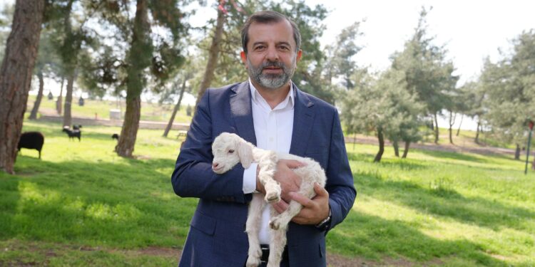 Gürsu Butik Hayvanat Bahçesi Yeni Sakinlerini Ağırlıyor