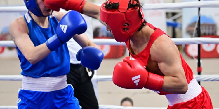Yıldırım Türkiye Boks Şampiyonasına Ev Sahipliği Yaptı