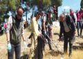 Tepeköy’de Ormanlar İçin Temizlik Seferberliği
