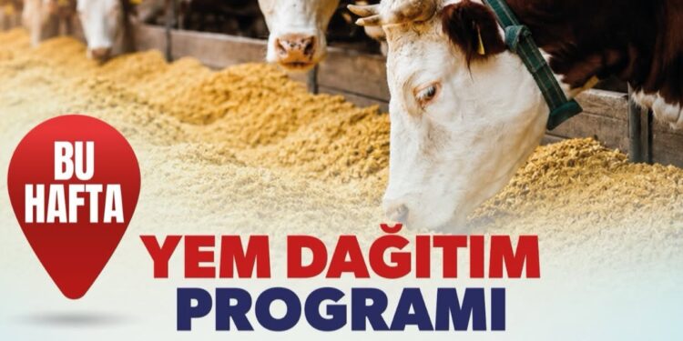 Çardaklı Üreticilere Yem Desteği 1 Temmuz’da Başlıyor