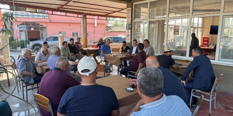 AK Parti İl Başkanı Subaşıoğlu Sarayköy’de buğday hasadı yaptı