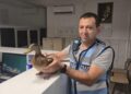 Trafiği Durdurup Ördeği Kurtardılar