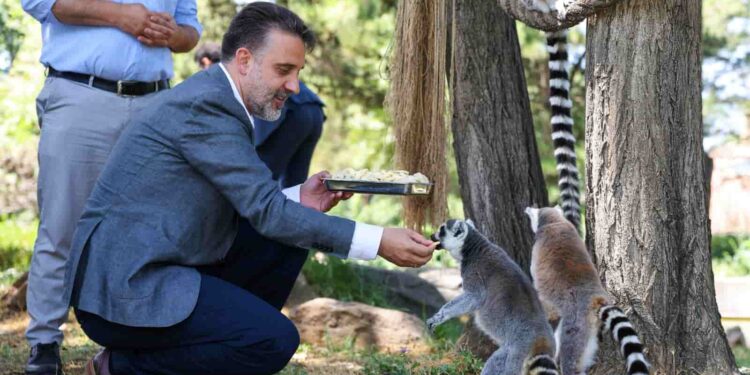 Başkan Vekili Biba’dan Bursa Hayvanat Bahçesi’ne ziyaret