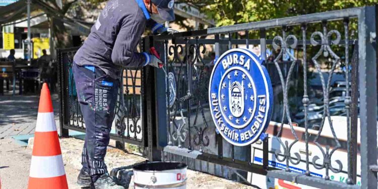 Gölyazı’da Kapsamlı Bakım Ve Çevre Düzenlemesi Başladı