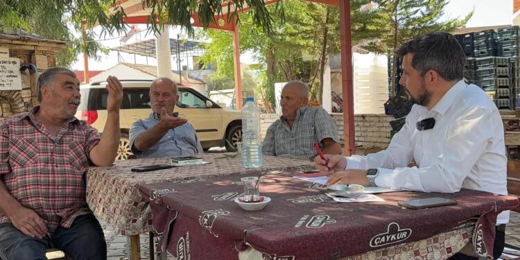 İncir Fiyatları Geçen Sene Fiyatlarının Gerisinde Kaldı