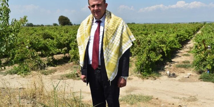 Saadet Partisi’nden Üzüm Fiyatı Çağrısı: “Taban Fiyat En Az 180 TL Olmalı”