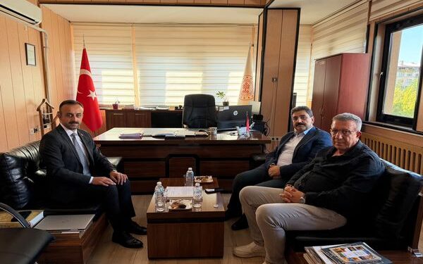 Milletvekili Hakan Aksu’dan Divriği’nin Tarihi Mirası İçin Yakın Takip